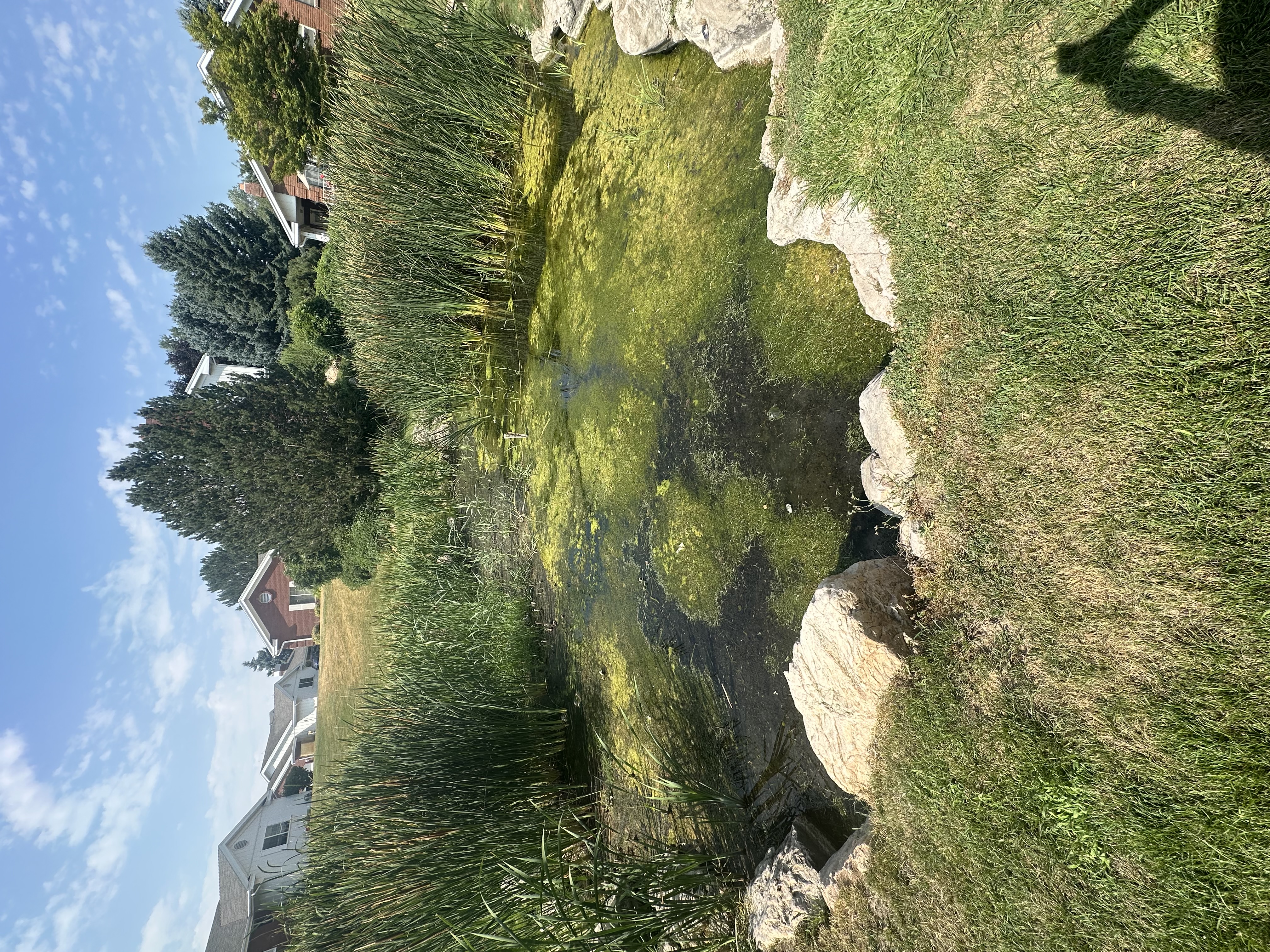 Environmental Protection through dredging