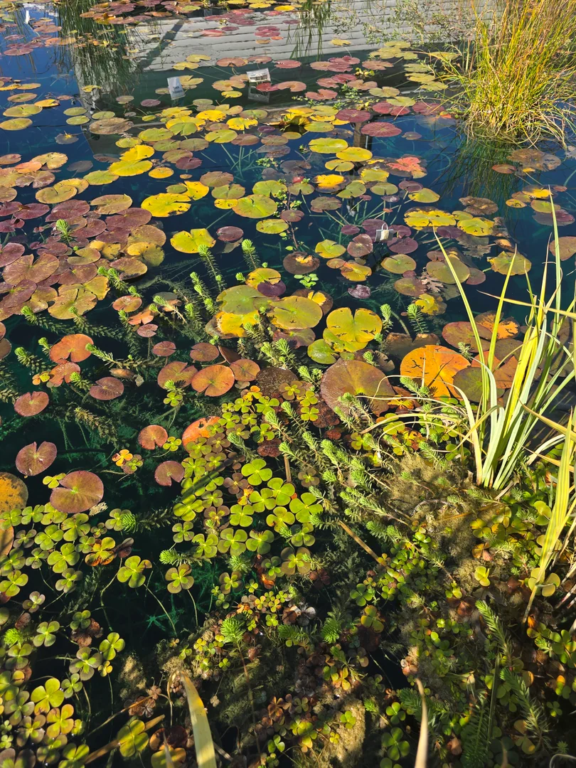Lake dredging equipment working along a Utah shoreline